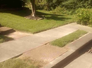 Sylvia G.'s Lawn Care service result
