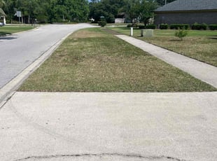 Mike N.'s Lawn Mowing service result