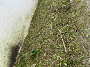 Cleanups by Alisha Lawson for Amaya T. in Columbus, OH