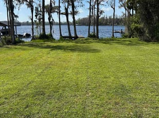 shibo Z.'s Lawn Service service result