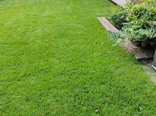 Karla W.'s Lawn Service service result