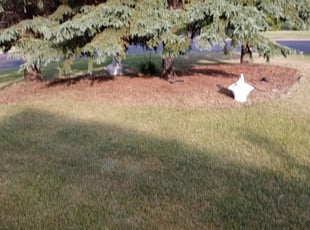 Cleanups by Ryan Reitzel for Rhonda T. in Andover, MN