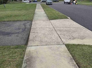 Michael L.'s Grass Cutting service result