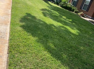 Mark F.'s Yard Cutting service result