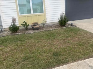 Weeding by Carl George for Daphne M. in Baton Rouge, LA