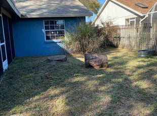 Leaf Removal by Dominque Wortham for Magda H. in Sarasota, FL