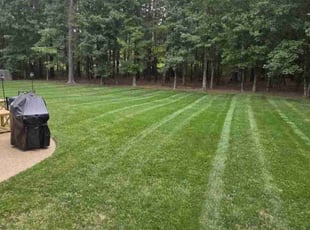 Dana S.'s Lawn Mowing service result