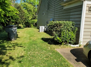 Bush Trimming by Marcus Cureton for Curtis W. in Charlotte, NC