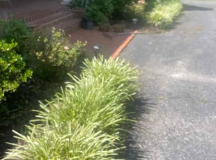 Weeding by Vanquas Scotton for Logan P. in Durham, NC