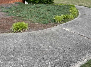 Weeding by Maricela Onofre for Lois P. in Marietta, GA