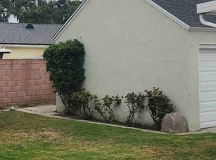 Bush Trimming by Marco Delgadillo for James H. in Lakewood, CA