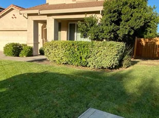 Lei G.'s Lawn Maintenance service result