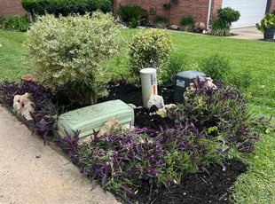 Mulching by Israel Roman Solano for Vernie W. in Round Rock, TX