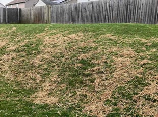 Aeration by Joel Laumas for Mario M. in Lexington, KY