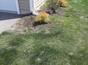 Landscaping by Carlos Ruiz for Tony Y. in Joliet, IL