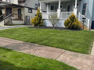 Linda T.'s Lawn Care service result