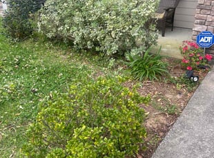 Bush Trimming by Paul Tollefson for Priscilla T. in Tallahassee, FL