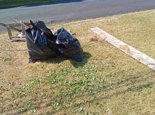 Evan M.'s Cleanups service result