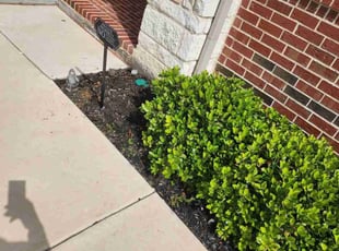 Weeding by Euless Skinner for Vivian N. in Midlothian, TX