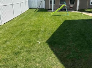 Lori s.'s Lawn Mowing service result