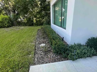 Bush Trimming by Martin Byington for Ashley W. in Orlando, FL