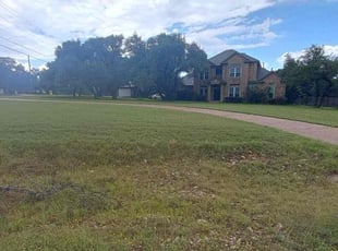 Leaf Removal by Wilmer Guevara for Rob H. in Georgetown, TX