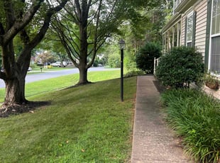 Tia B.'s Lawn Service service result