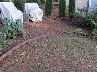 Leaf Removal by Darius Baugh for Kristin R. in Decatur, GA