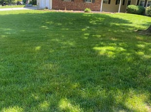Kai W.'s Grass Cutting service result