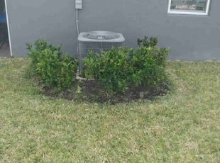 Bush Trimming by Kenneth Mitchell for Maria S. in Parrish, FL