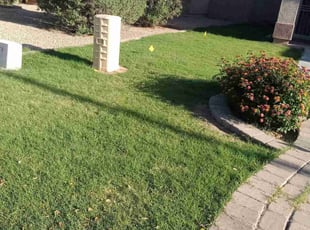 Bush Trimming by Nishay Romero for Paul O. in Gilbert, AZ