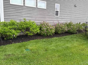 Weeding by Shaun Wojcichowsky for Darius S. in Plain City, OH