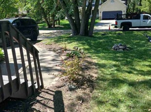 Weeding by John Davis for Brent R. in West Bloomfield Township, MI