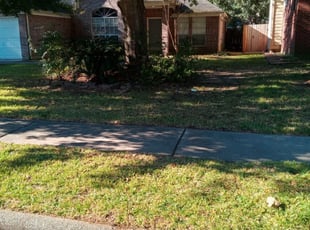 Leaf Removal by Guillermo Olivares for Nicole B. in Spring, TX
