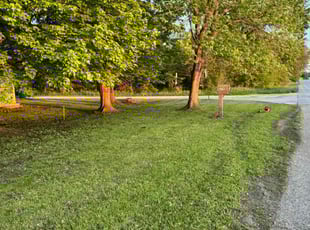 Elliott B.'s Lawn Care service result