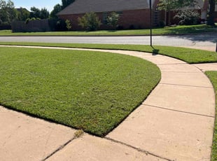 Riley D.'s Grass Cutting service result