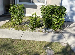 Bush Trimming by Elder Javier for Salvador F. in Port St. Lucie, FL