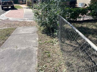 Kyle V.'s Bush Trimming service result