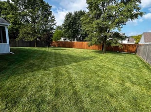 Amanda S.'s Lawn Mowing Service service result