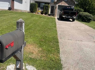Luis R.'s Lawn Service service result
