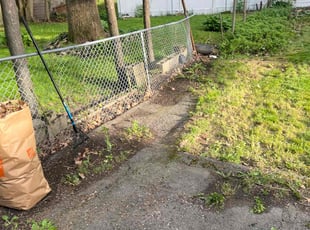 Leaf Removal by Jeanrenald Limage for Joel A. in Dorchester Center, MA