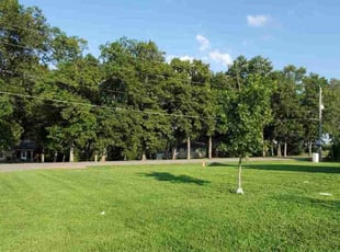 Emily R.'s Lawn Service service result