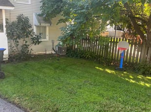 Daniel R.'s Lawn Service service result