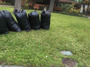 Cleanups by Simon Diamond for Alicia A. in Dallas, TX