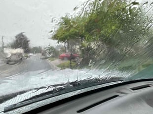 Bush Trimming by Larz Pugh-hall for Cristal C. in Sarasota, FL
