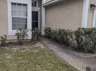 Bush Trimming by Robby Freedman for Gavin S. in Orlando, FL