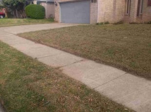 Weeding by Kris Dossey for Matthew T. in North Richland Hills, TX