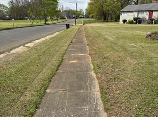 Tamera D.'s Lawn Service service result