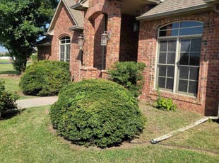 Bush Trimming by Timothy Steward for Hai B. in Edmond, OK