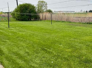 Ashok P.'s Lawn Service service result